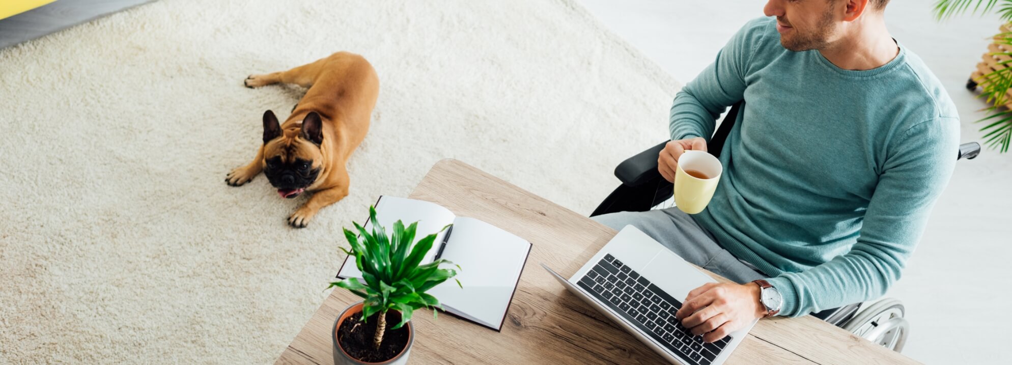 The New Earth School Learn Imagine Create